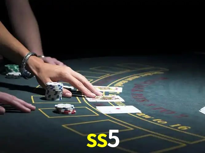 Security Systems ss5